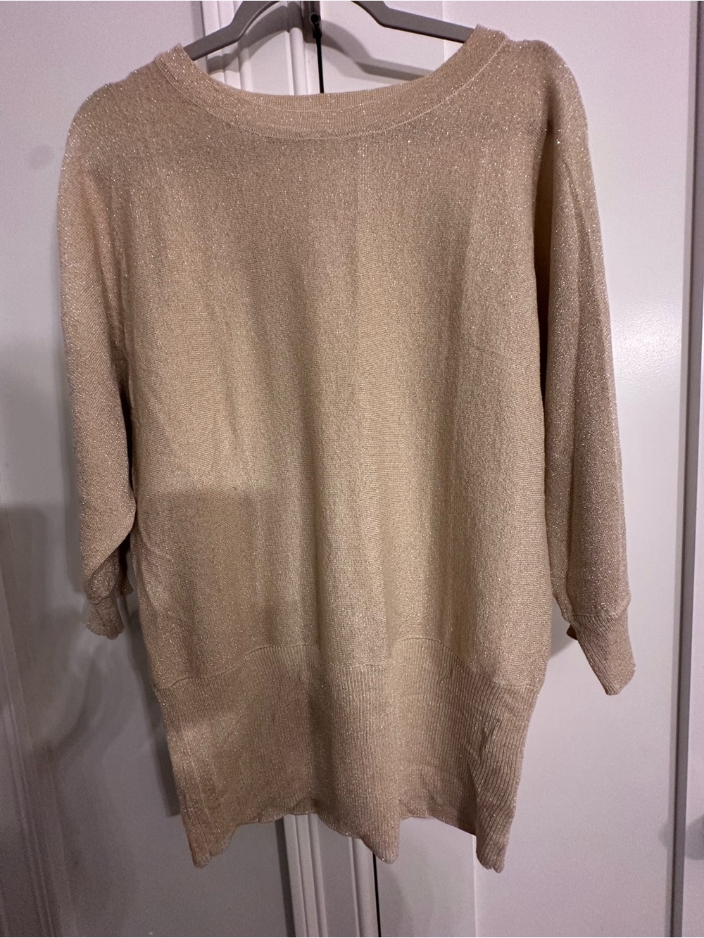 Nina Leonard Metallic Cream Dolman Sleeve Sweater
